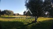 Land plot 236sqm for sale-Pylea » Center