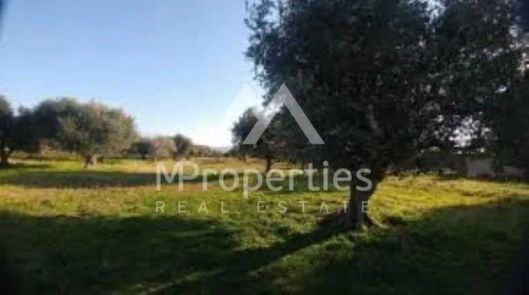 Land plot 236 sqm for sale, Thessaloniki - Suburbs, Pylea