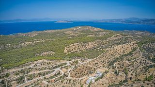 Αγροτεμάχια 5.220 τ.μ. πρός πώληση, Αργολίδα, Κρανίδι-thumb-12