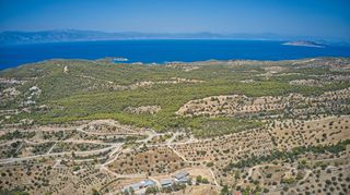Αγροτεμάχια 5.220 τ.μ. πρός πώληση, Αργολίδα, Κρανίδι-thumb-14