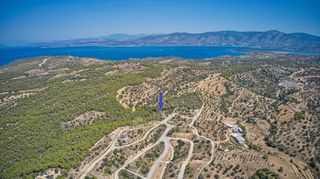 Αγροτεμάχια 5.220 τ.μ. πρός πώληση, Αργολίδα, Κρανίδι-thumb-6