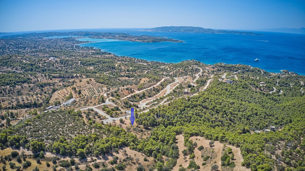 Αγροτεμάχια 5.220 τ.μ. πρός πώληση, Αργολίδα, Κρανίδι