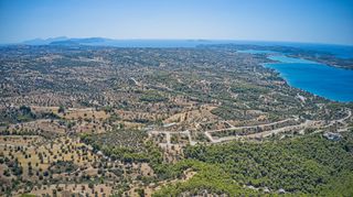 Αγροτεμάχια 5.220 τ.μ. πρός πώληση, Αργολίδα, Κρανίδι-thumb-24