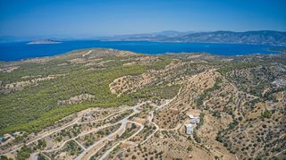 Αγροτεμάχια 5.220 τ.μ. πρός πώληση, Αργολίδα, Κρανίδι-thumb-15