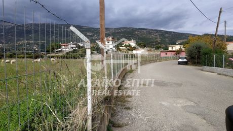 Land plot 2.000 sqm for sale