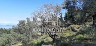 Οικόπεδο 5.800 τ.μ. για πώληση, Ν. Λευκάδας, Λευκάδα-thumb-4