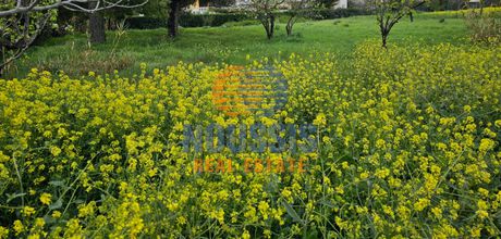 Οικόπεδο 944 τ.μ. για πώληση