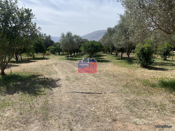 Αγροτεμάχια 5.000 τ.μ. για πώληση, Αχαΐα, Αίγιο