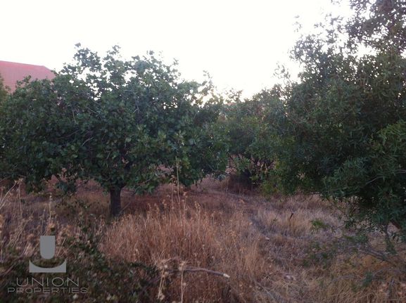 Οικόπεδο 352 τ.μ. για πώληση, Αθήνα - Νότια Προάστια, Βάρη- Βάρκιζα