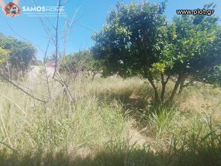 Detached home 84 sqm for sale, Samos Prefecture, Samos-thumb-2