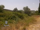 Land plot 4.095sqm for sale-Koropi » Agia Marina