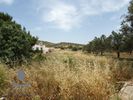 Land plot 1.050sqm for sale-Koropi » Agia Marina