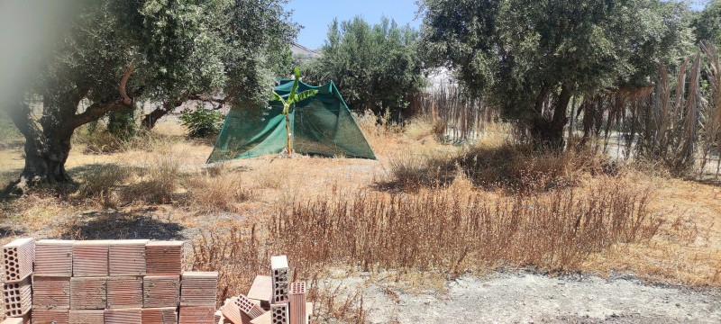 Μονοκατοικία 100 τ.μ. προς πώληση, Ποταμοί Ιεράπετρας