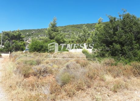 Land plot 579 sqm for sale