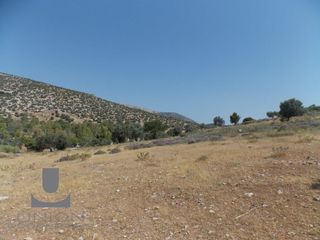 Οικόπεδο 25.000 τ.μ. για ενοικίαση