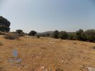 Land plot 25.916sqm for sale-Koropi » Skarpiza