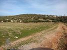 Land plot 30.000sqm for sale-Koropi » Skarpiza