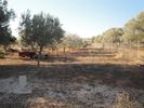 Land plot 4.000sqm for sale-Koropi » Center