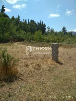 Parcel 43.000sqm for sale-Korinthos » Agios Georgios