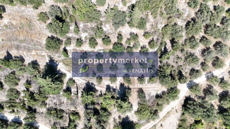 Οικόπεδο 5.715 τ.μ. προς πώληση, Στύλος