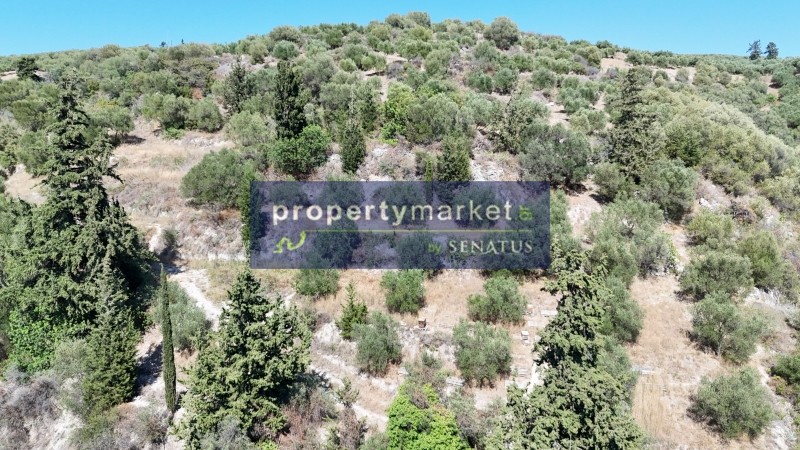 Οικόπεδο 5.715 τ.μ. προς πώληση, Στύλος