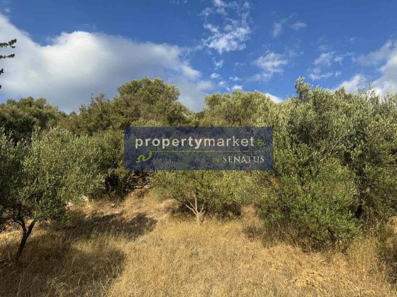 Οικόπεδο 5.715 τ.μ. προς πώληση, Στύλος