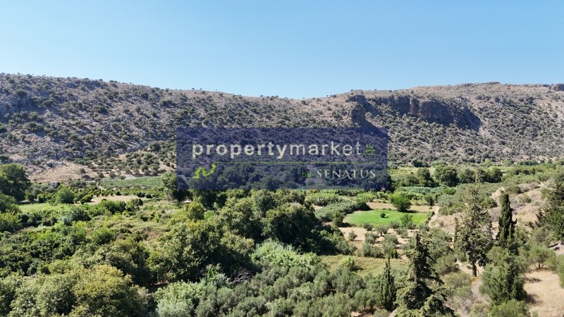 Οικόπεδο 5.715 τ.μ. προς πώληση, Στύλος