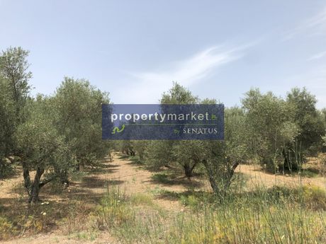 Οικόπεδο 13.177 τ.μ. για πώληση
