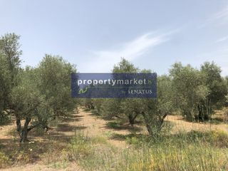Οικόπεδο 13.177 τ.μ. για πώληση