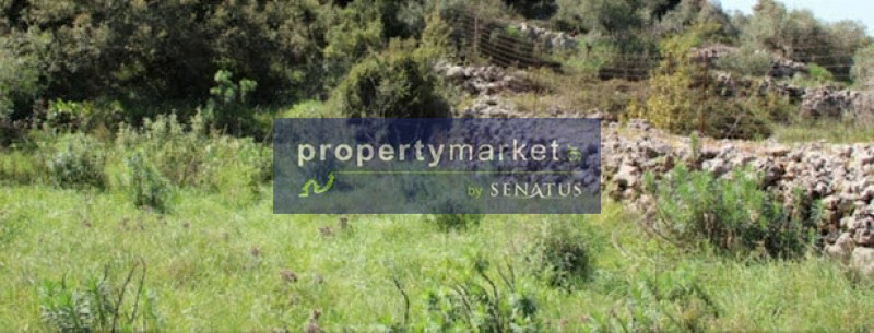 Αγροτεμάχια 1.500 τ.μ. προς πώληση, Αλίκαμπος