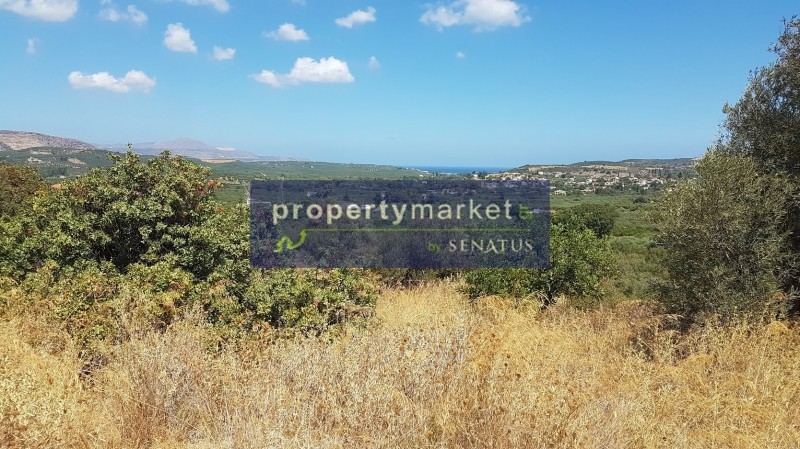 Οικόπεδο 18.000 τ.μ. προς πώληση, Νέο Χωριό Αρμενών