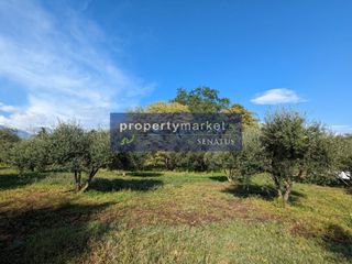 Οικόπεδο 5.438 τ.μ. για πώληση