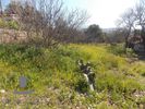 Land plot 254,44sqm for sale-Koropi » Kitsi