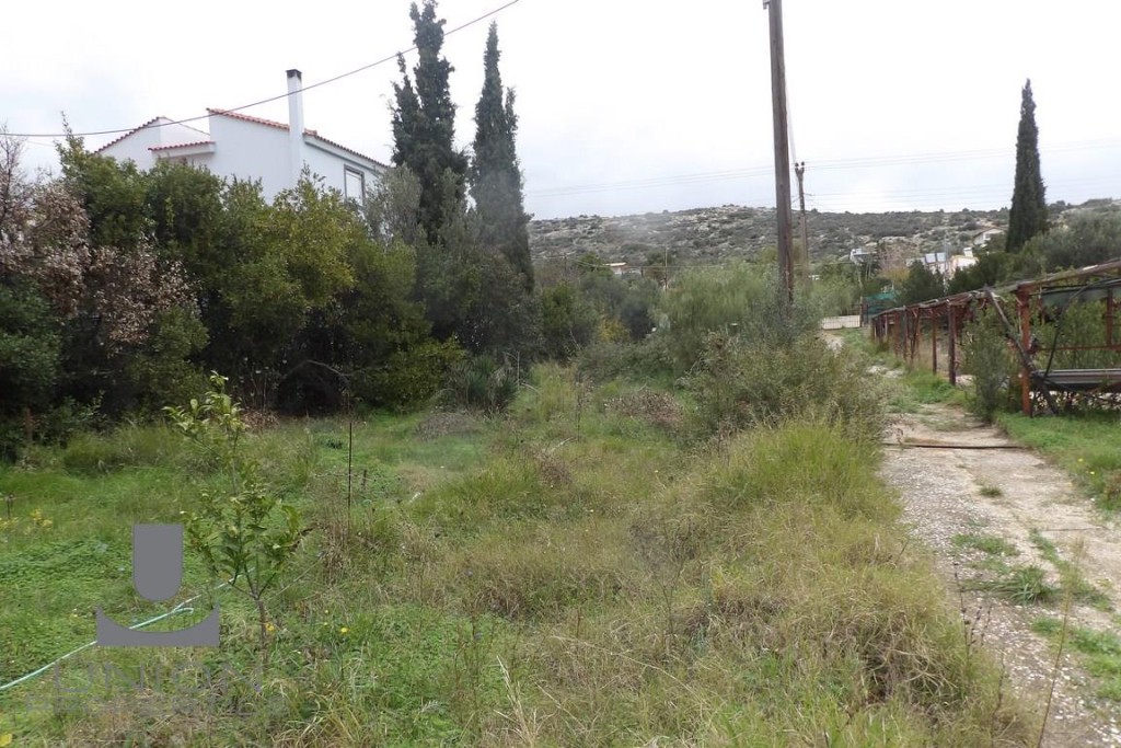 Αγροτεμάχια 3.572 τ.μ. προς ενοικίαση, Κίτσι