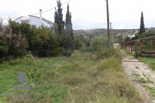 Αγροτεμάχια 3.572 τ.μ. για ενοικίαση
