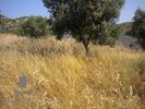 Land plot 550sqm for sale-Koropi » Agia Marina