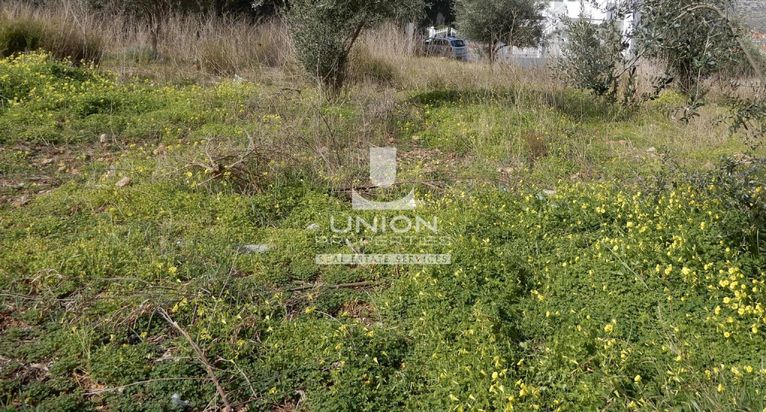 Οικόπεδο 6.500 τ.μ. για ενοικίαση, Αθήνα - Ανατολικά Προάστια, Κορωπί