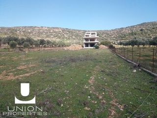 Business bulding 350 sqm for sale
