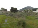 Land plot 776,81sqm for sale-Koropi » Agia Marina