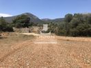 Land plot 4.800sqm for sale-Koropi » Skarpiza