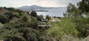 Land plot 1.000sqm for sale-Koropi » Agia Marina