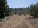 Land plot 40.000sqm for sale-Koropi » Kitsi