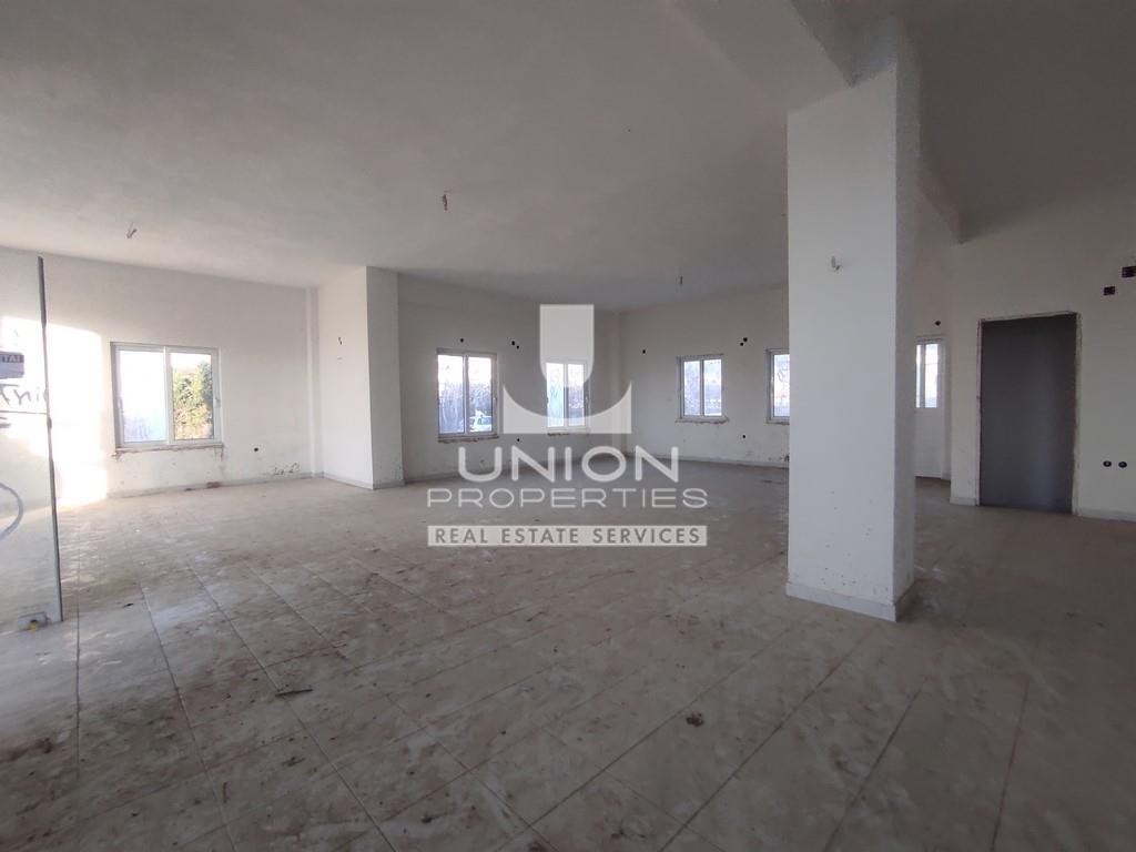 Κατάστημα 305 τ.μ. προς ενοικίαση, Λαγονήσι