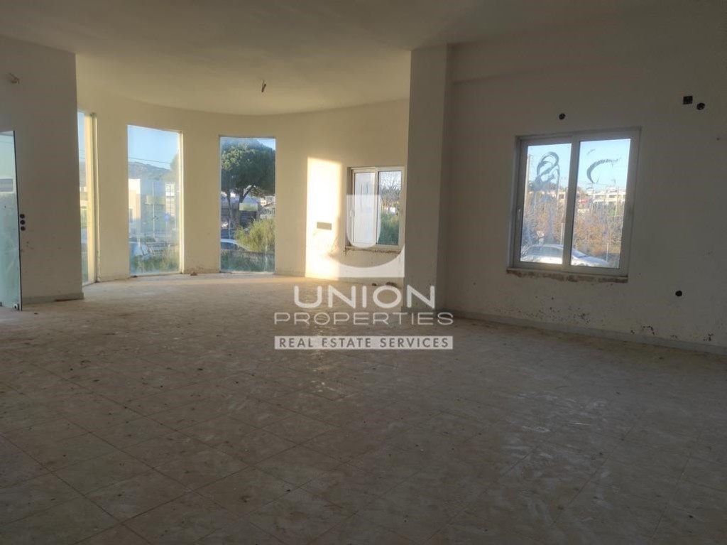 Κατάστημα 305 τ.μ. προς ενοικίαση, Λαγονήσι