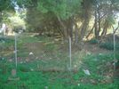 Land plot 752sqm for sale-Saronida