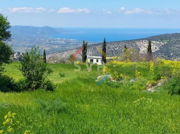 Αγροτεμάχια 23.000 τ.μ. για πώληση, Πάφος