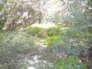 Land plot 434sqm for sale-Koropi » Agia Marina