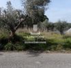 Land plot 4.000sqm for rent-Koropi » Center