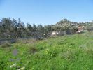 Land plot 1.136,12sqm for sale-Koropi » Kitsi