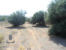 Land plot 4.700sqm for sale-Koropi » Agia Marina